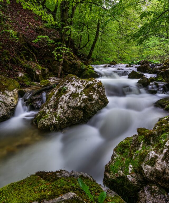 ENVIRONMENTal ASSESSMENT